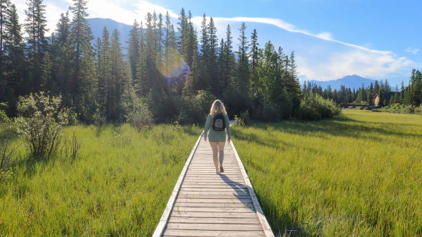 istock Female hiker walks along boardwalk through marsh area 1326868314