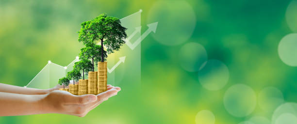 istock Money growing, Tree growing on stack of coins, sustainable development, csr, investment. 1326869132