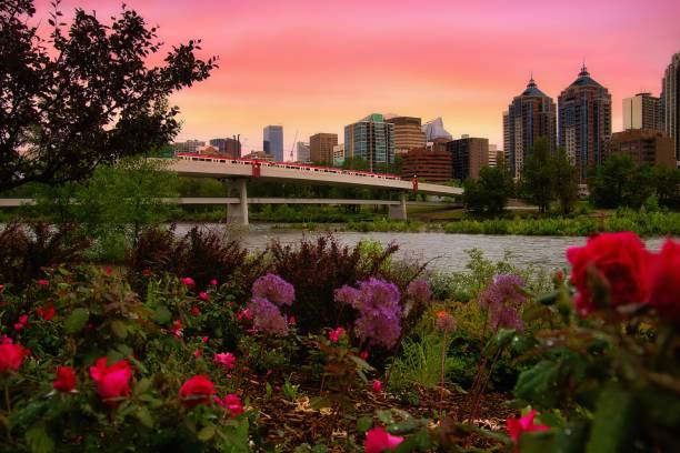 istock Sunrise Sky Over The Summer Bow River Valley 1326869775
