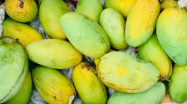 istock Summers: The famous mango season of India 1326871486