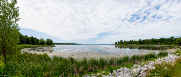 istock Luther Marsh in Southern Ontario on a Cloudy Day 1326871672