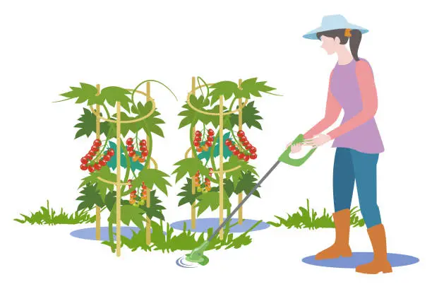 Vector illustration of Mowing weeds