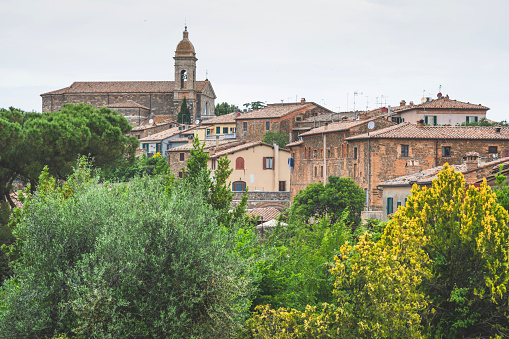 Panoramic of The medieval town of Montalcino surrounded with various of trees in the early morning ,tuscany Italy