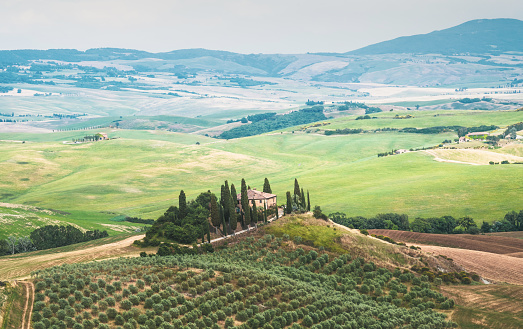 Scenics landscape of Crete Senesi, Asciano, Val d'Orcia with cypress and olive trees, rolling hills in tuscany,Italy
