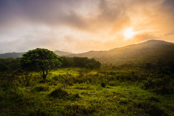 istock Sunset in Country Park 1326878563