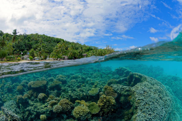 istock blue lagoon of bora bora 1326881413