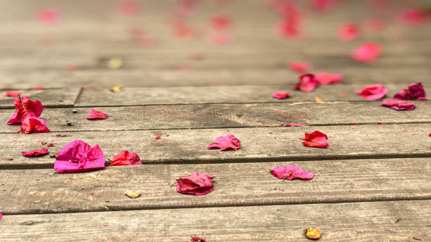 istock petal on the wood 1326881463