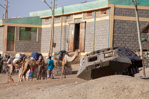 Berhale, Afar Region, Ethiopia - Jan 14, 2014: Camels waiting for departure, and wreckage of armored vehicle