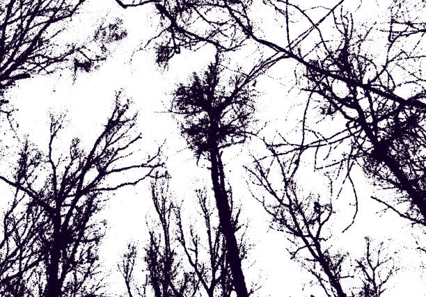 illustrazioni stock, clip art, cartoni animati e icone di tendenza di cime degli alberi nel cielo con stile dotwork. rami di alberi nudi raccapriccianti in inverno con consistenza punteggiata. - treetop sky tree tree canopy