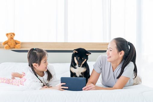 A family with a mom and daughter using a tablet in bed in the bedroom with a Shiba Inu. Girl and Dog looking at tablet.
