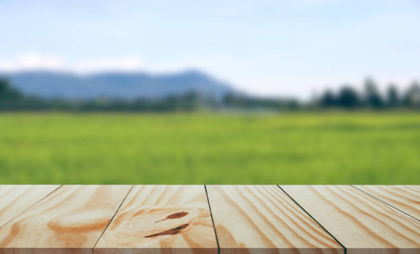 istock Empty wooden table in front with blurred of nature background. 1326892969