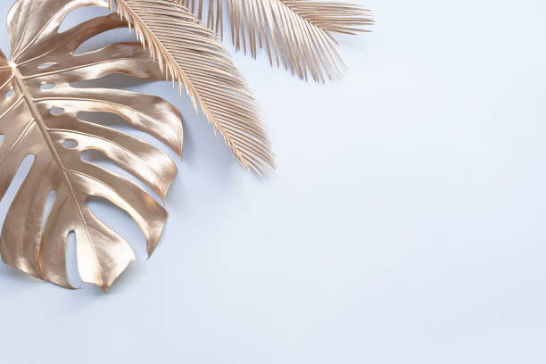 istock Gold tropical palm leaves Monstera on white background. Flat lay 1326897814