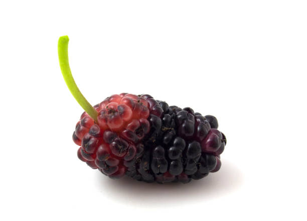 istock Mulberry berry with leaf isolated on white background macro 1326899505
