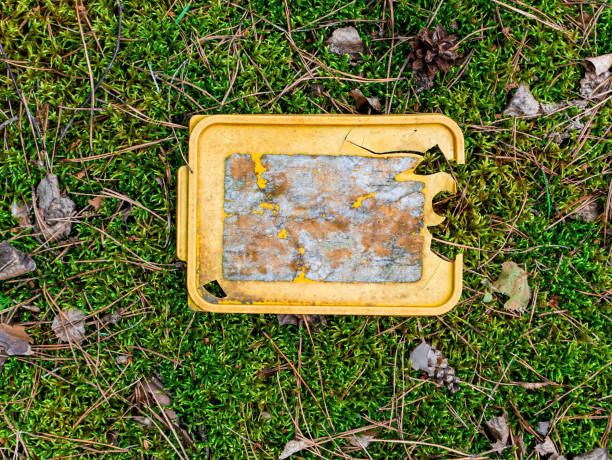 istock Thrown plastic trash on the green moss in the forest. 1326899723