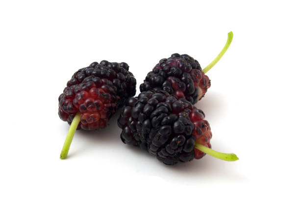 istock Black mulberry isolated on white background 1326899973