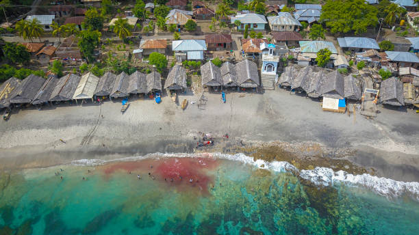 malerische aussicht und traditionelle hütte in lamalera, nusa tenggara, indonesien. lamalera ist die heimat der traditionellen waljagd - walfang stock-fotos und bilder