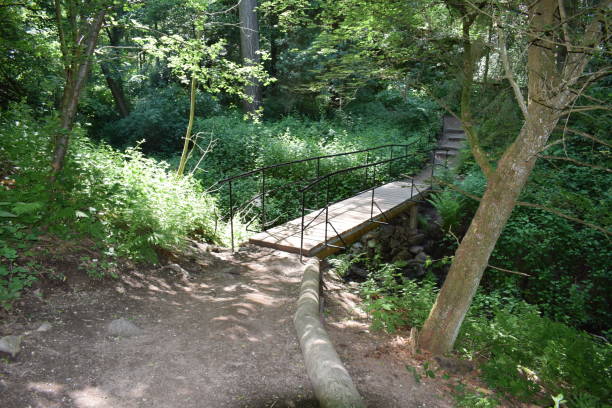 istock narrow bridge in a jungle valley 1326902394