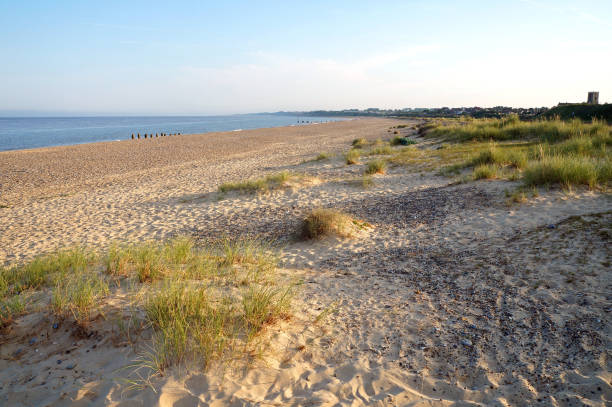 istock Sand dunes on a beach in Suffolk 1326906037