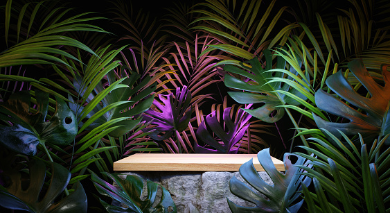 Wooden tabletop on a boulder placed among an exotic jungle. Podium platform for product presentation. Summertime background. 3D render. 3d illustration.