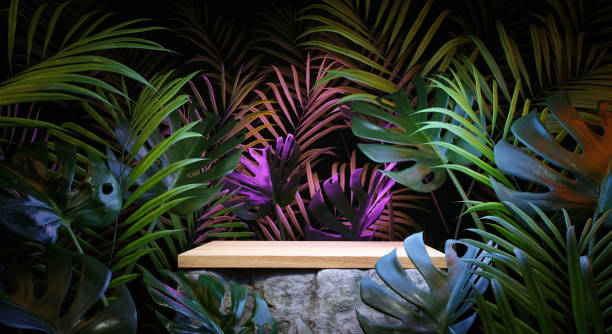 Wooden tabletop on a boulder placed among an exotic jungle. Podium platform for product presentation. Summertime background. 3D render. Wooden tabletop on a boulder placed among an exotic jungle. Podium platform for product presentation. Summertime background. 3D render. 3d illustration. tropical pattern stock pictures, royalty-free photos & images