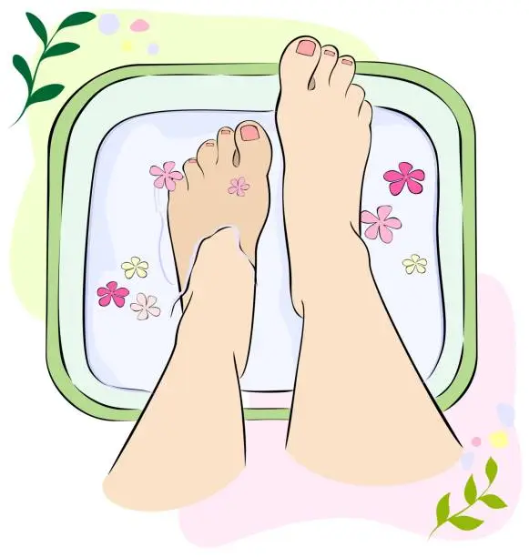 Vector illustration of Women's feet in a basin of water. Spa treatments for feet. Close-up illustration, top view.