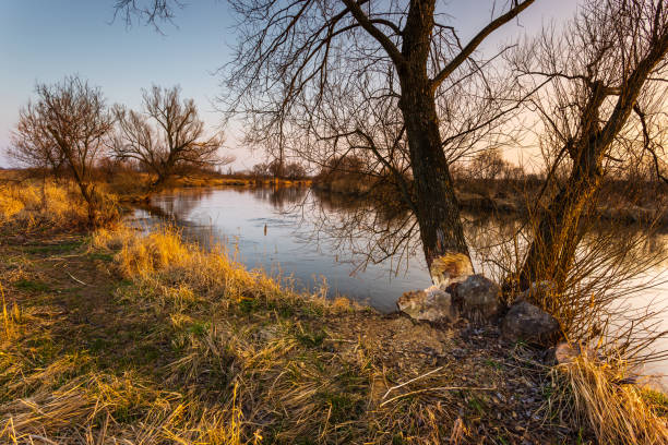 istock Spring at Warta river in Warta Landscape Park, Poland. 1326910947