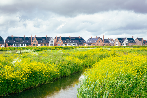View of a field with rapeseed and modern designed houses in new neighborhood \