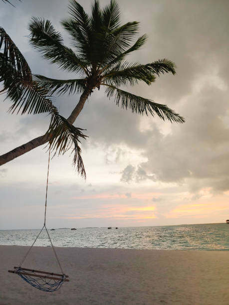 istock Idyllic image of a swing hanging from a palm tree during sunset on a Maldives beach. 1326911086