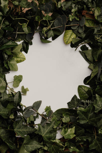 istock a frame made up of sheets for a photograph or text 1326911778
