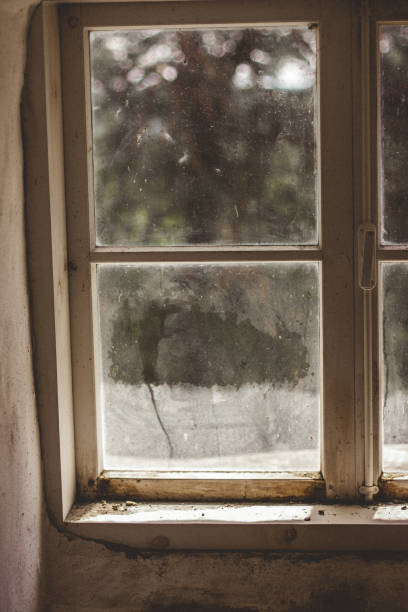 istock An old white wooden checkered window with an outward view. 1326913270