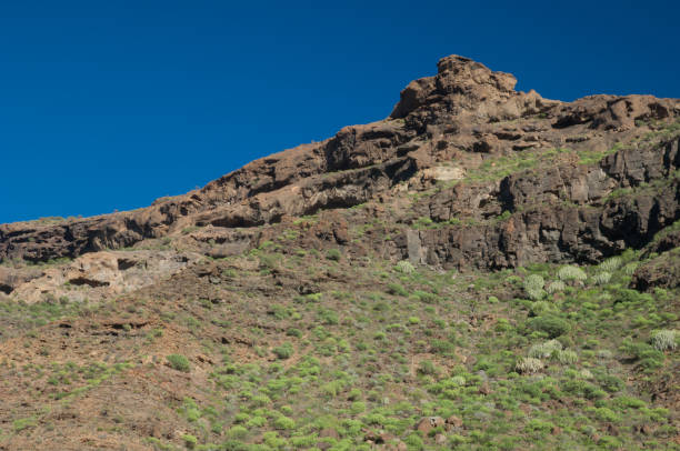 istock Cliff in the Arguineguin ravine, Gran Canaria. 1326916610