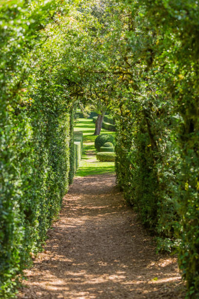 istock Gardens of Marqueyssac 1326918235