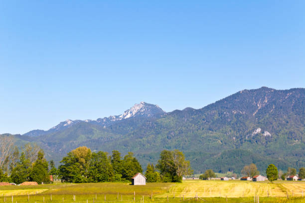 istock Bavarian meadows with view to the mountains 1326919269
