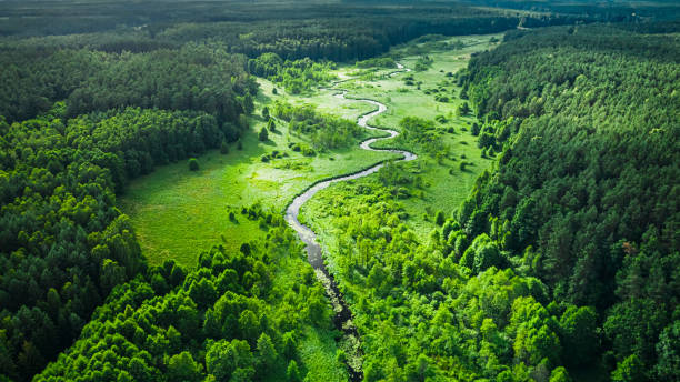 Curvy river and green forest. Aerial view of wildlife, Poland. Curvy river and green forest. Aerial view of wildlife in Poland. Nature in Europe. bory tucholskie stock pictures, royalty-free photos & images