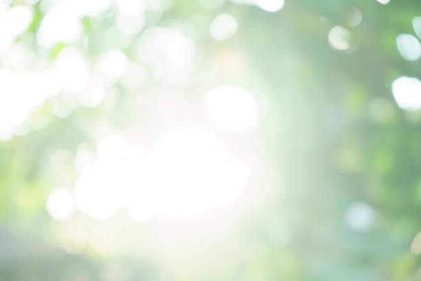 istock Out of Focus 1326926762