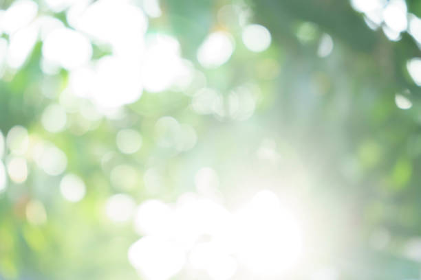 istock Out of Focus 1326926763