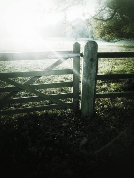 istock gate farm field backlight contra jour landscape sun sunshine 1326930922