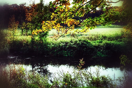 walking footpath autumn fall nature outdoors landscape environment beautiful