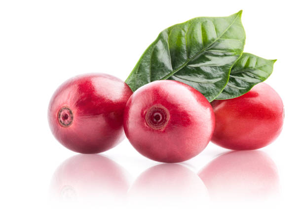 istock Red coffee beans isolated on white background with clipping path 1326933129