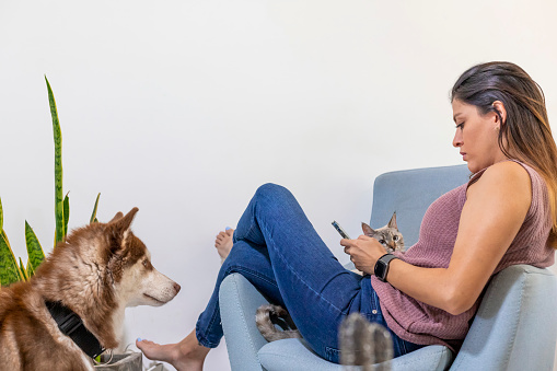 Young latina woman texting trough the phone white her pets around she. Domestic Life