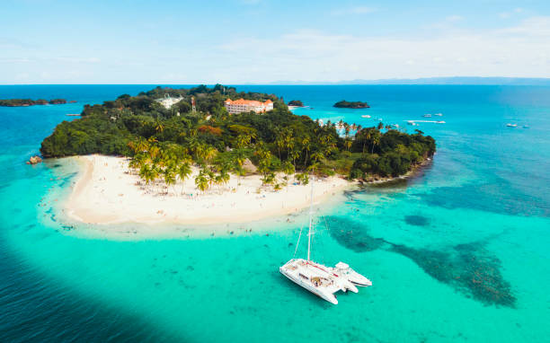 luft-drohnenansicht der schönen karibischen tropischen insel cayo levantado strand mit palmen. bacardi island, dominikanische republik. urlaubshintergrund - greater antilles stock-fotos und bilder