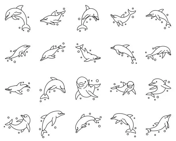 Vector illustration of Line art vector illustration icon set of dolphin