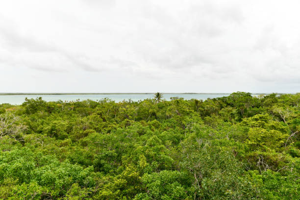 istock Sian Ka'an Biosphere Reserve 1326935832