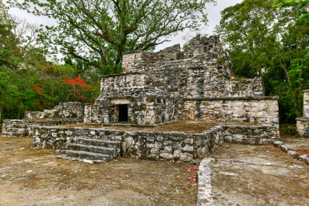 istock Muyil Mayan Ruins - Mexico 1326935964