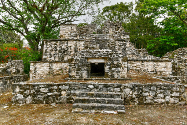 istock Muyil Mayan Ruins - Mexico 1326936009