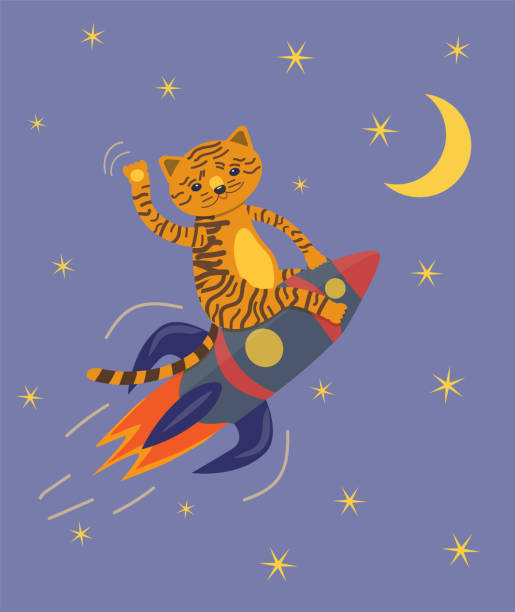 gezogen niedlichen tiger sitzt auf einer blauen rakete winkt seine pfote und fliegt in den himmel - babytiger stock-grafiken, -clipart, -cartoons und -symbole