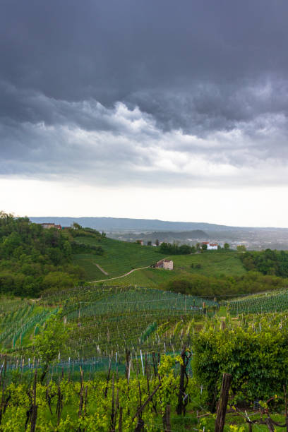 istock Prosecco Hills - Valdobbiadene 1326940818