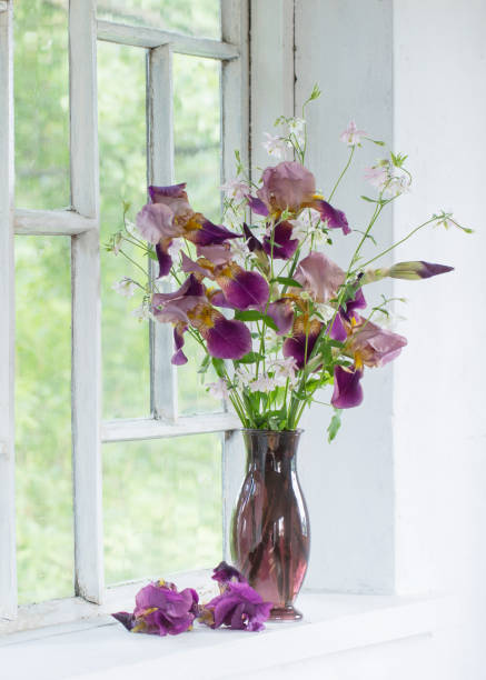 istock iris flowers in glass vase on white old windowsill 1326941775