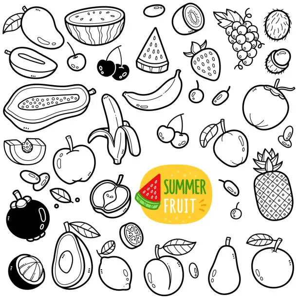 Vector illustration of Summer Fruit Doodle Illustration