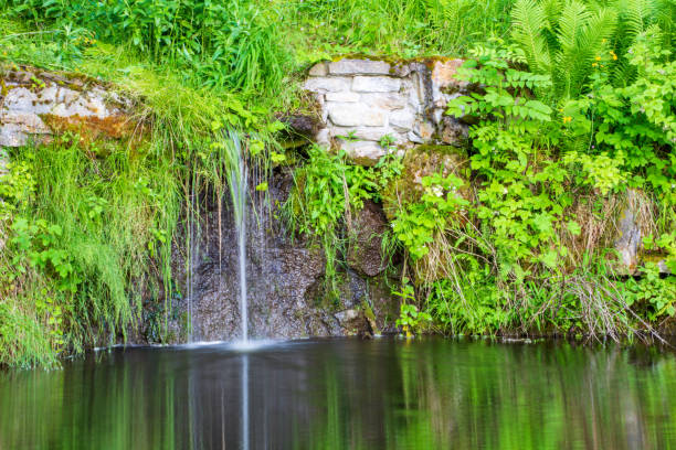 Small waterfall on the Park Hill in Krynica Zdrój in Beskid Sądecki in Poland Small waterfall on the Park Hill in Krynica Zdrój in Beskid Sądecki in Poland beskid mountains stock pictures, royalty-free photos & images